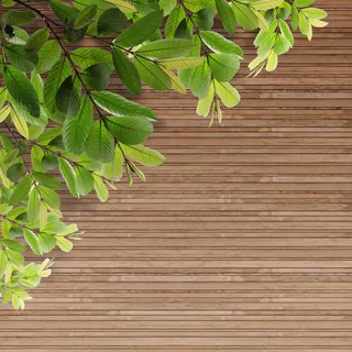 老垃圾木材纹理的叶子 老垃圾木材纹理的叶子