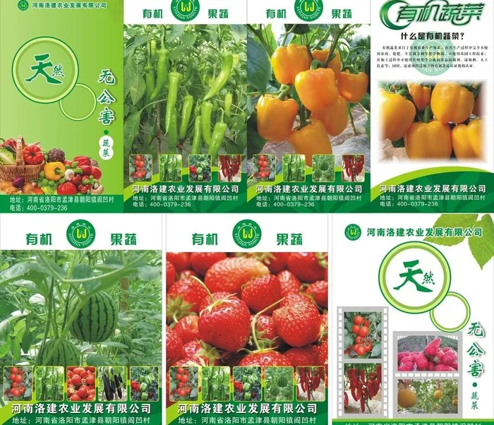 蔬菜挂图图片cdr矢量模版下载
