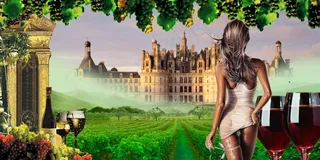 酒庄美女 红酒广告图片