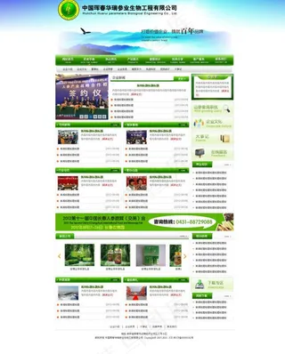 企业网站模版图片