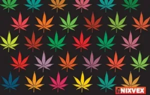 丰富多彩的树叶nixvex免费矢量