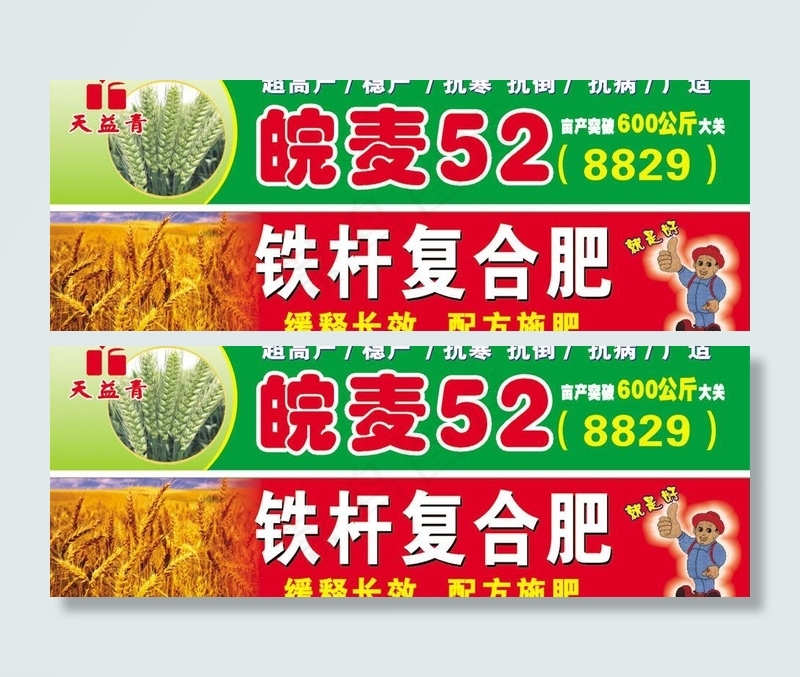 小麦地金色麦穗图片