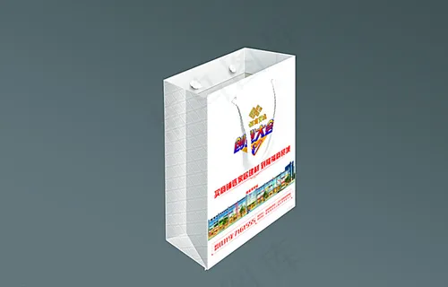 手提袋 效果图图片