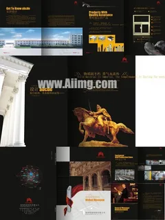 娃哈哈品质案例画册