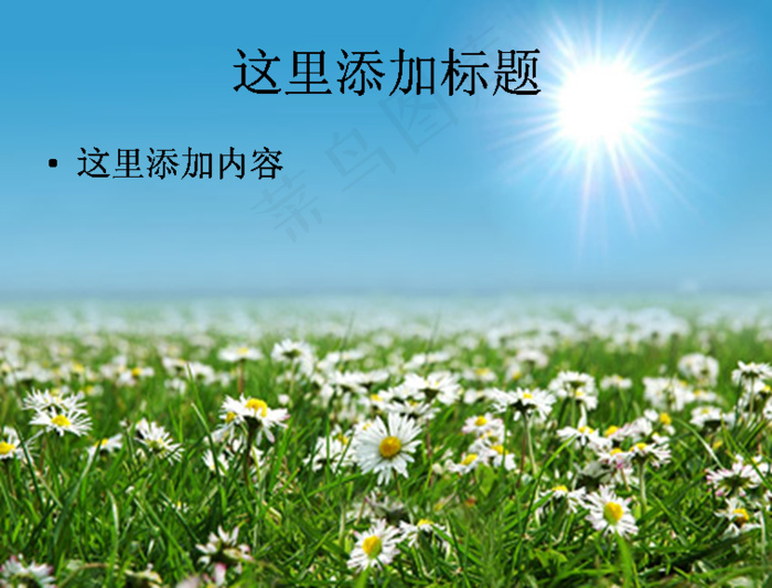 白色野菊花PPT模板范文素材风景...