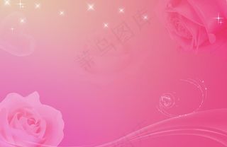 粉玫瑰背景图片