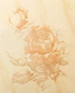 卫生间花片素材下载装饰素材 11