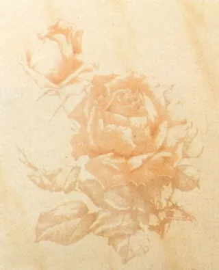 卫生间花片素材下载装饰素材 11