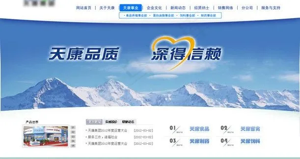 企业网站