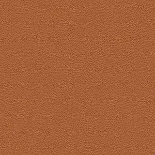 3d皮革贴图素材