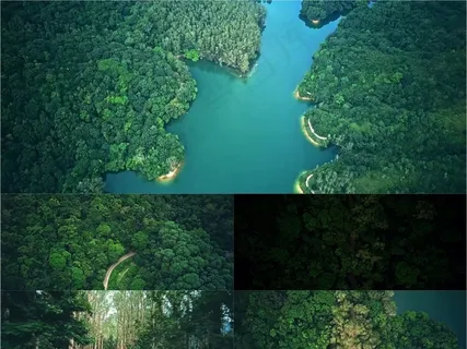 航拍香港青山绿水水库水资源 航拍香港青山绿水水库水资源