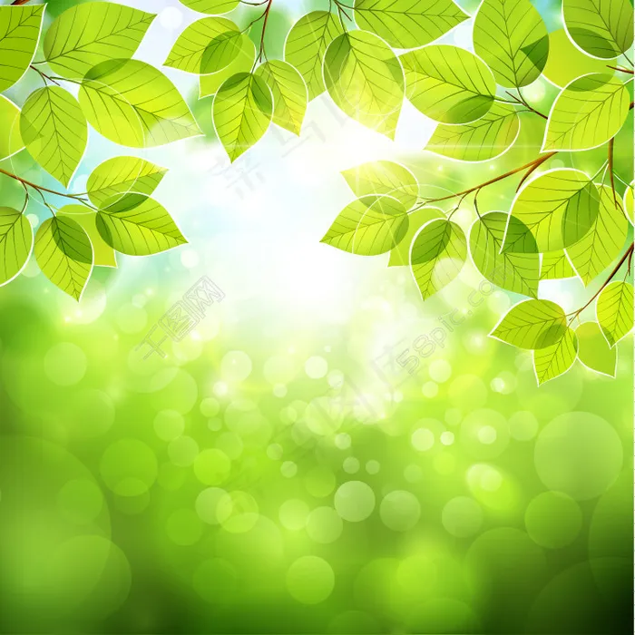 梦幻绿色枝叶背景矢量素材eps,ai矢量模版下载