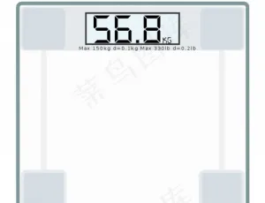 数字秤矢量图像