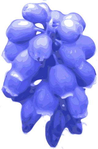 紫色的花剪贴画