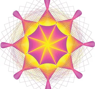 花 背景 数码图片