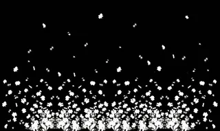 个人卧室3D模型素材