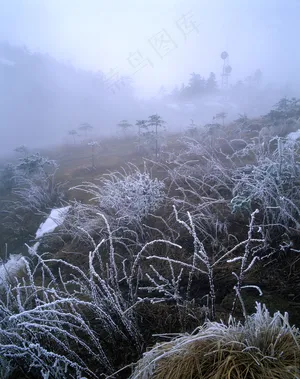 冬天风景摄影
