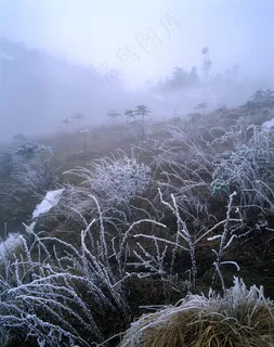 冬天风景摄影 冬天风景摄影