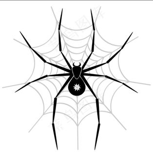 蜘蛛网上的蜘蛛