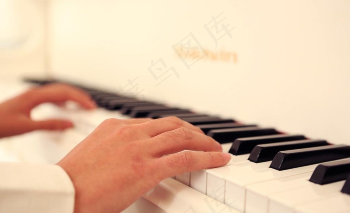钢琴乐手图片