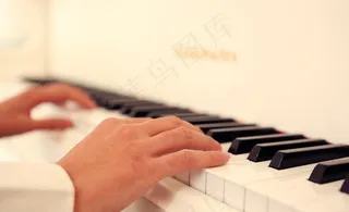 钢琴乐手图片