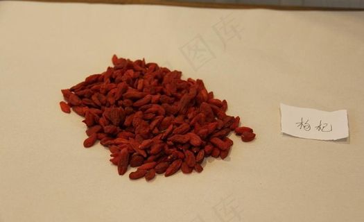 中药饮片枸杞子图片 中药饮片枸杞子图片
