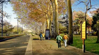 林荫大道秋季效果图图片