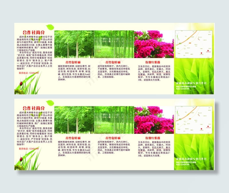 苗木折页