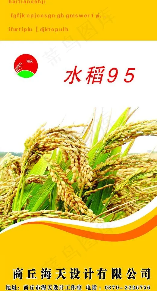 水稻95包装图片psd模版下载