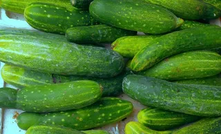 老黄瓜 蔬菜生吃瓜图片