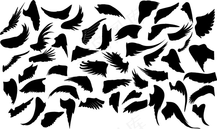 各种手绘小羽毛