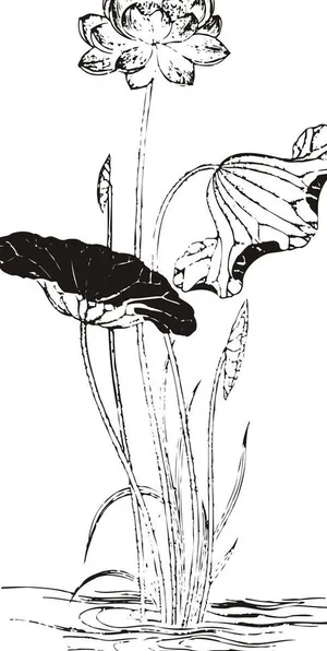 完整的荷花藕水墨画矢量图图片