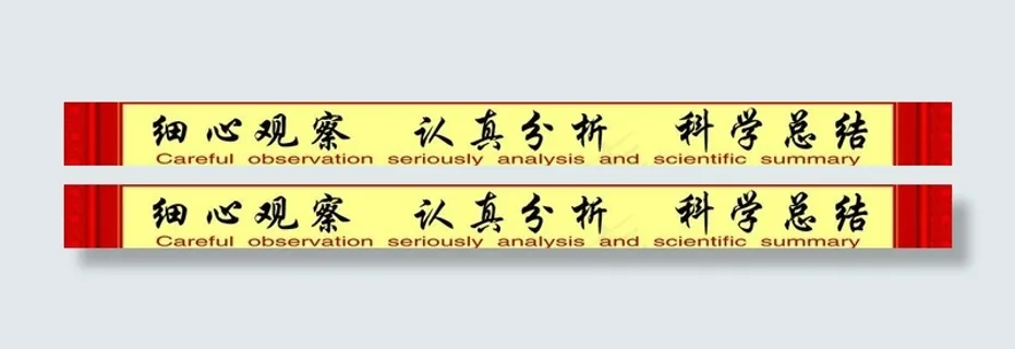 细心观察认真分析科学总结图片
