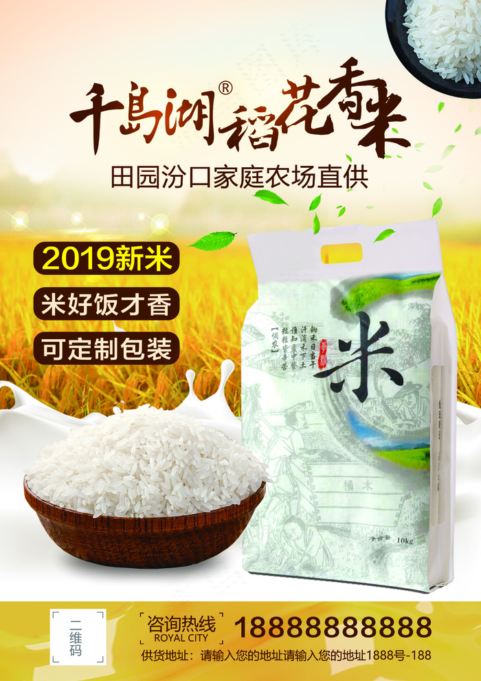 2019简约风新米上市大米海报