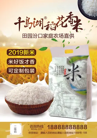 2019简约风新米上市大米海报
