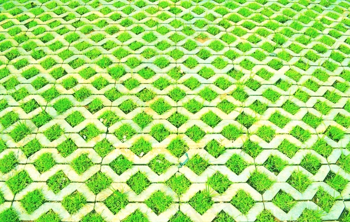 地板砖里的草图片