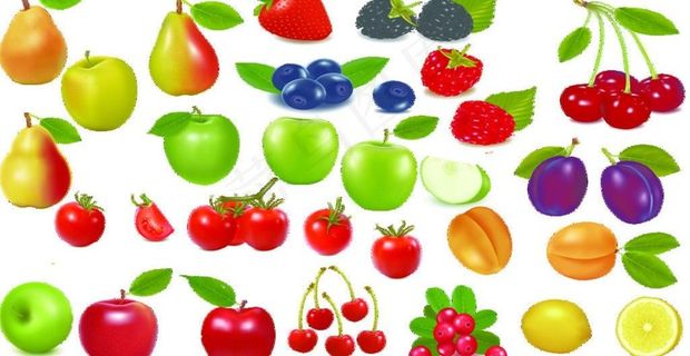 水果集图片