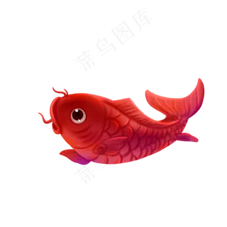 年年有余锦鲤鱼年年有余锦鲤鱼