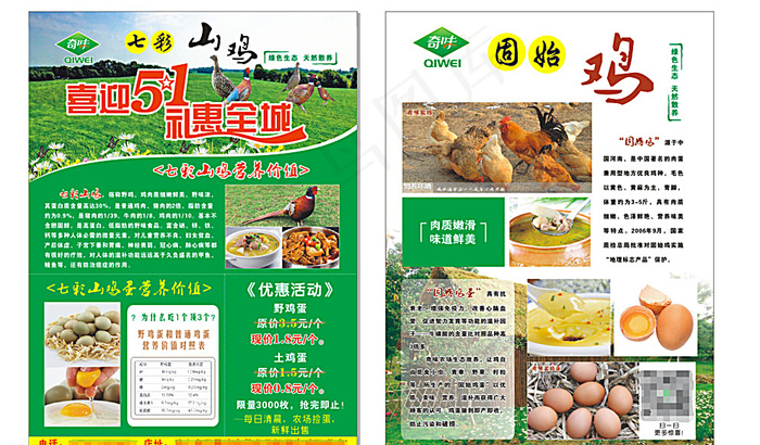 51传单 野鸡 cdr x4图片(210X285)cdr矢量模版下载