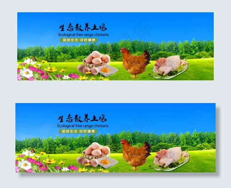 农产品土鸡海报 广告(1920X669(DPI:72))psd模版下载