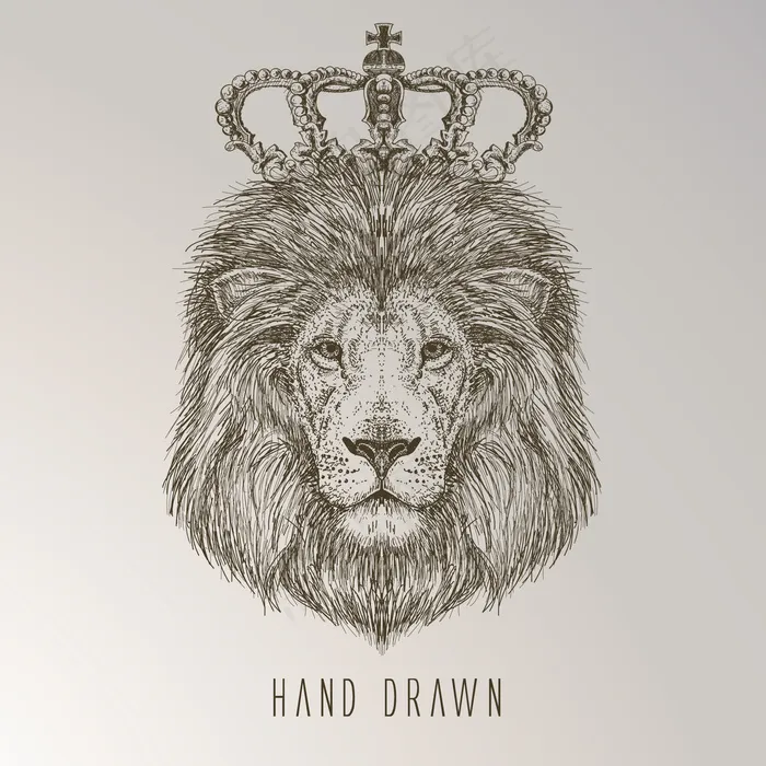 卡通狮子矢量设计