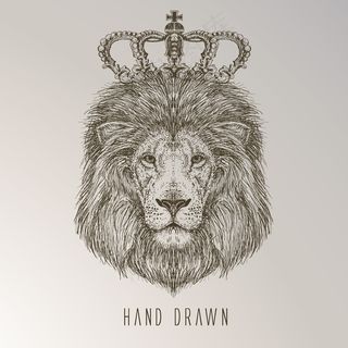 卡通狮子矢量设计