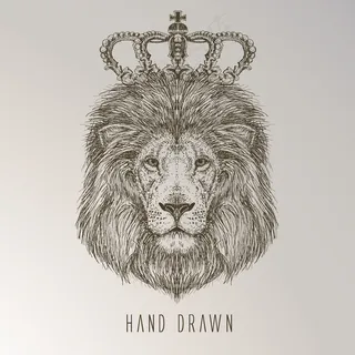 卡通狮子矢量设计