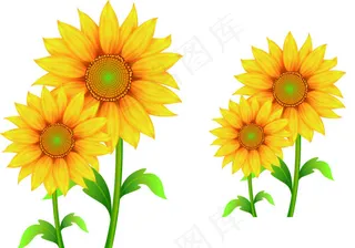 向日葵cdr素材