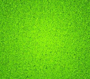 绿草的设计元素矢量图01