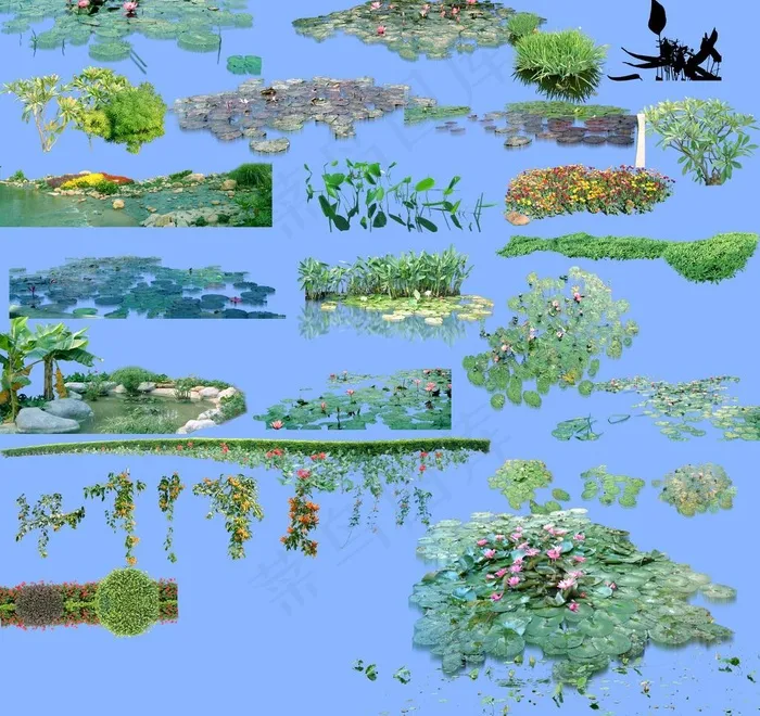 水中植物图片(4000X4000(DPI:72))psd模版下载