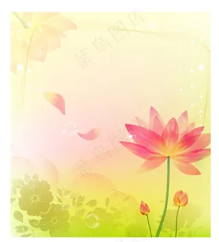 淡雅花朵背景图片