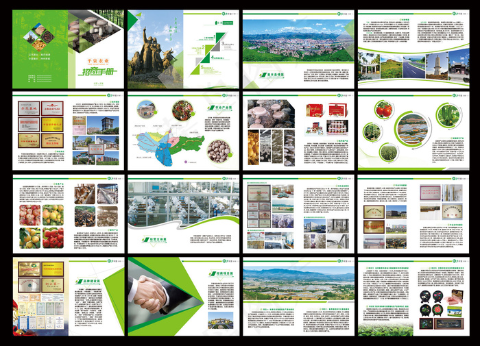 画册PSD素材   招商手册