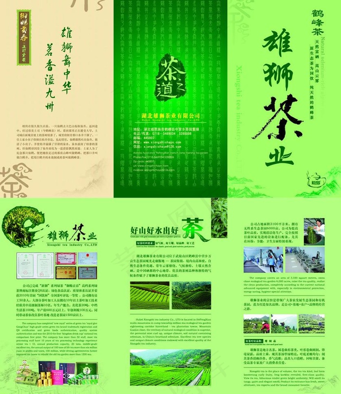 雄狮茶叶图片(4961X6071(DPI:300))psd模版下载