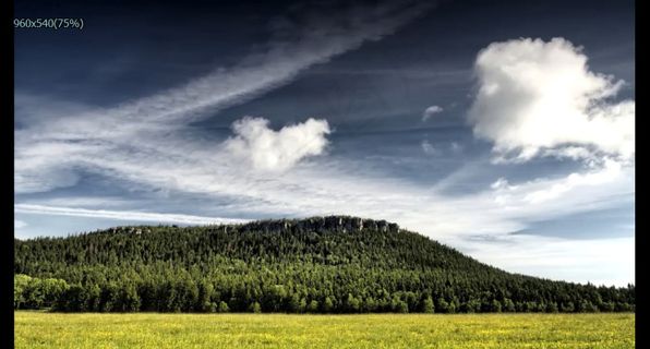 绿色草原实拍高清视频